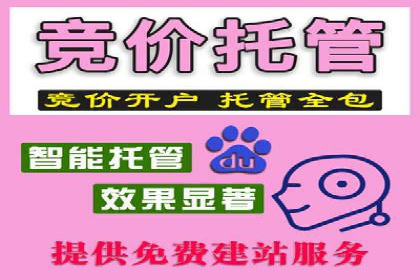 经典案例：专业SEM托管如何实现ROI最大化